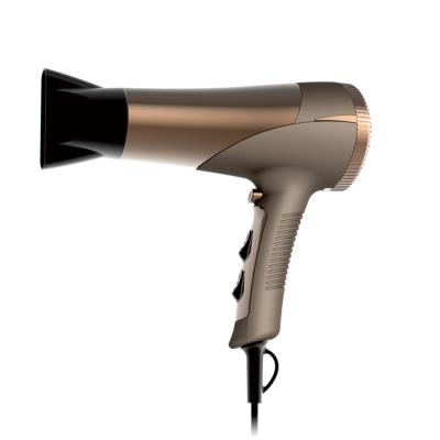 China China Hot Selling Ionic Manufacturers 1800W 2200W Hair Dryer Electric Body Styling Hair Dryer for sale