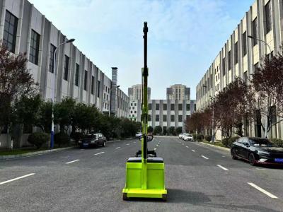 China Electric Crane Arm Truck Weight 200 KG Electronic Steering Two-stage Boom for sale