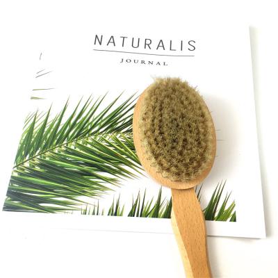 China EXFOLIATING Body Brush - Exfoliating Brush for Dry Brushing Skin Care for sale