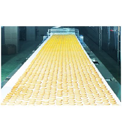 China Factory New Products Fully Automatic Biscuit Cooling Machine for sale