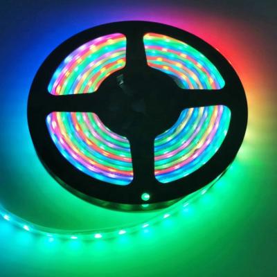 China 1903 LANDSCAPE IC Parts 12 Volt RGB Digital LED Electric Magic Strip With Waterproof Silicone Tube for sale