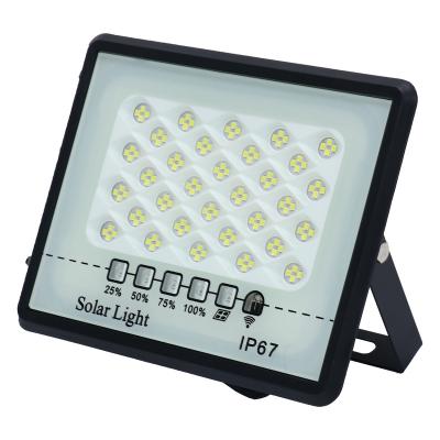 China Garden Solar Light Garden Led 30w 100w 300w Lighting IP67 And Circuits Aluminum Design for sale