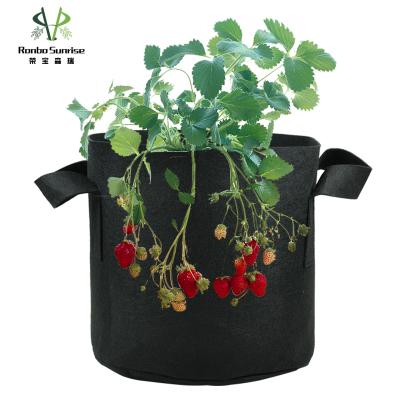 China Vegetable / Flower / Tree Planting Fabric Grow Bag 3 Gallon Durable Nylon Material Vegetable Grow Bags for sale