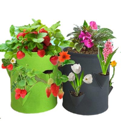 China Durable Wholesale Factory Price Large Gallon Vegetable Ronbo Strawberry Grow Bags For Plant for sale