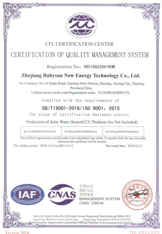 ISO - Zhejiang Babysun New Energy Technology Co., Ltd.