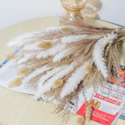 China Amazon Decoration 2022 Selling Dried Bouquet Decoration Home Decor Wedding Decoration Christmas Gifts By Flower Pampas Grass Free Sample for sale