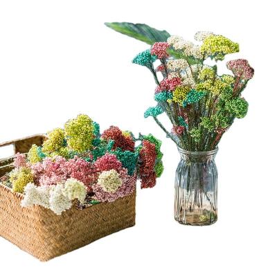 China The Most Popular Decoration Dried Rice Flower Preserved Dried Flower Ornaments Box Wildflowers For Home Decoration Indoor Ornaments for sale