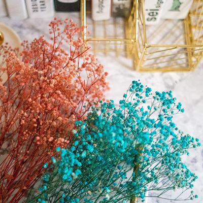 China Decoration Free Sample Gypsophila Preserved Flower Baby's Breath Dried Flowers Wedding Supplies DIY Wreath Making for sale