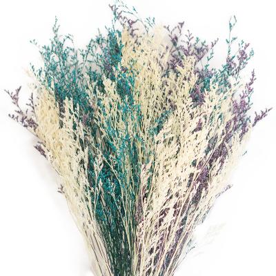 China Wholesale Free Sample Decoration Natural Preserved Flower Valentine Grass Preserved Misty Limonium For DIY Wreath Making Wedding Delivery for sale