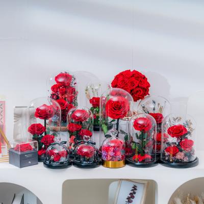 China Amazon 2022 Wholesale Decoration Real Flowers Preserve Rose Supplies Gift Box Eternal Flower Decorative Rose Flower Wedding for sale