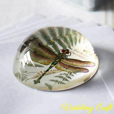 China Europe Dome Shape Crystal Dragonfly Paperweight For Wholesale Supplies for sale