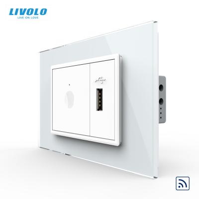 China Residential / General Purpose Smart Switchmodel And Livolo C9 Home USB Wall Socket for sale