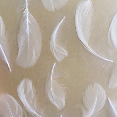 China 8MM acrylic transparent 10MM feather board/hotel partition acrylic screen decoration material/white/goose color feather PMMA 4x8 feet for sale