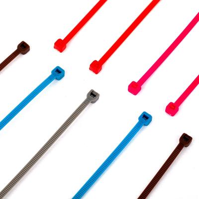 China Factory Best Price Nylon66 Cable Tie 16