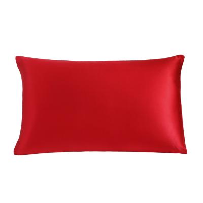 China Factory Outlet 100% Sustainable Silk Pillow Case Mulberry Silk Pillowcase With Hidden Zipper for sale