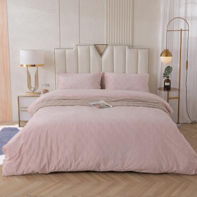 China Zipper Bedding Set 100%Velvet Luxurious Nondisposable Hide Soft Solid Queen Duvet Cover Set for sale