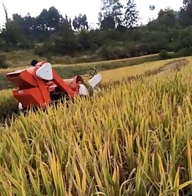 China 28HP Rice Ridding Harvester Machine For Rice Crawler Type Harvester For Paddy Harvester for sale