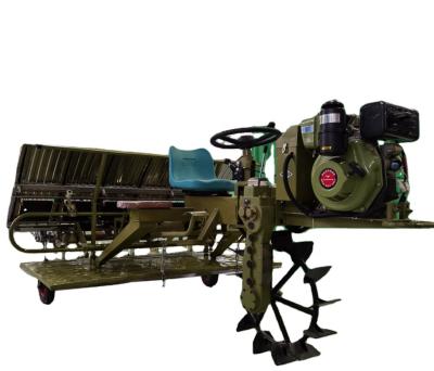 China Rice Planting Rice Seedling Sowing Machine With Diesel Engine Rice Nursery Sowing Machine 3 Wheel 6 Row Rice Plant Machine With Seat for sale