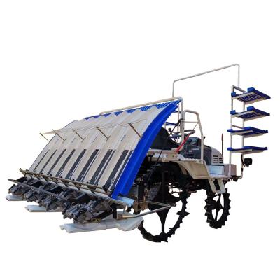 China Rice Planting Gasoline 6 Rows Layer Rise Type Paddy Rice Seedlings Planting Machine Four Wheel Planter Paddy Planting Machine Rice Sowing for sale