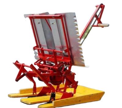 China Rice Planting Mini Manual Rice Planter 2 Rows Small Manual Rice Transplanter Paddy Planter for sale