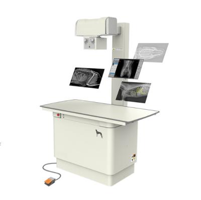 중국 32kW 15.6 인치 터치 스크린 수의사 디지털 방사선촬영 X- 선 기계 판매용