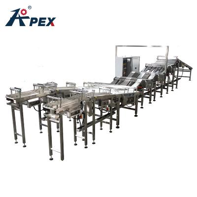 China Food Grade Inline Feeding System Industrial Automatic Stainless Steel Conveyor Belt Sorting Systems For Biscuit for sale