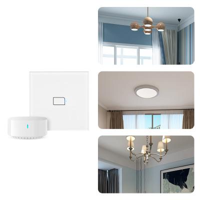 China EU standard 100-240V Google Alexa WiFi Smart Switch 1/2 band S3-TC3-EU-1/2 for sale