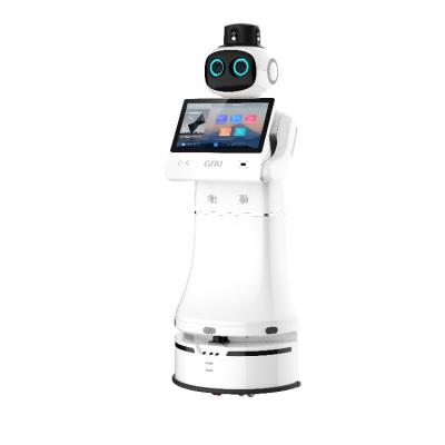 China Hotel Smart Robot Patrol Reception Service Security Robot Human Filed Robots For Sale for sale