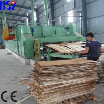 China Two Layer Automatic Mesh-Belt Plywood Veneer Woodworking Machine Drier Machine for sale