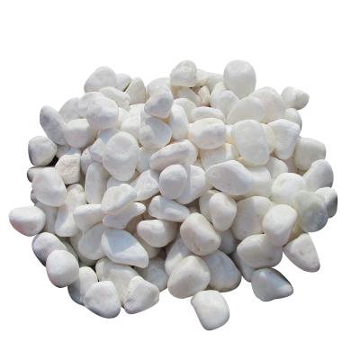 China China Supplier Modern Round River Stone White Stone Pebble Pebbles For Garden for sale