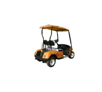 China 2022 New Outdoor Sports 2 Seater Golf Offroad Electric Vehicle 2.2KW Motor Sightseeing Tractor for sale