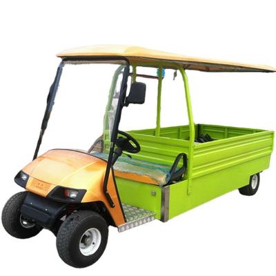 China best price high power motor manufactured quality guaranteed two seats golf cart 1000kg for sale