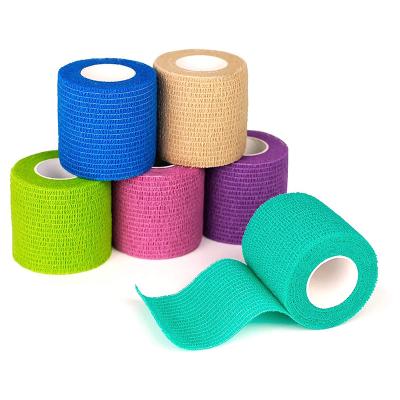 China Sports Care / Pets Tape Medical Adhesive Nonwoven Cohesive Sport Bandage Care / Wound Dressings for sale