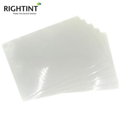 China Waterproof static electrostatic film pp synthetic paper static film for printing label material for sale