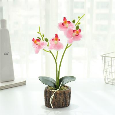 China New high simulation Phalaenopsis bonsai flower two fork four high simulation artificial flower plant decoration simulation flower manufacturers for sale