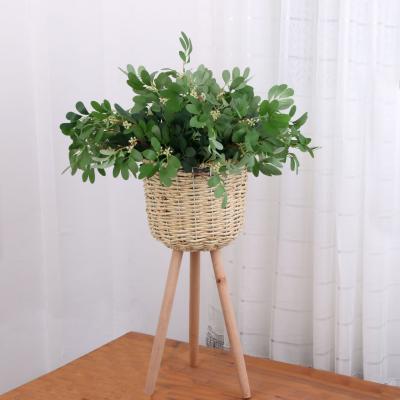 China High Simulation Cloth Crafts Wholesale Simulation Silk Plants Green Jujube Leaves Green Plants Wedding Home Decoration Plants for sale