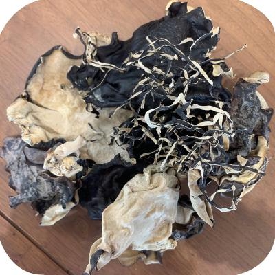 China Real New Chinese High Quality Black Edible Mushroom Ear Dried Healthy Natural Natural Wooden Mushrooms for sale