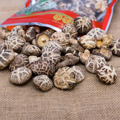 China Healthy Mushroom Dry Food - Black Nightshade Mushroom Wild Dried Mushroom Straw for sale