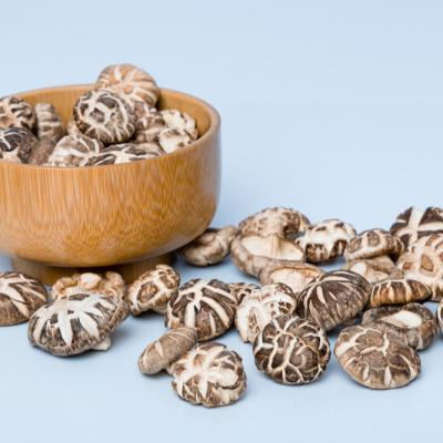 China Healthy dry mushroom flakes dry cauliflower mushroom dried candlestick mushroom for sale