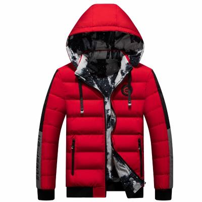 China Windproof plus size men's short thin winter thickening men's clothing autumn and winter down jacket cotton coat for sale