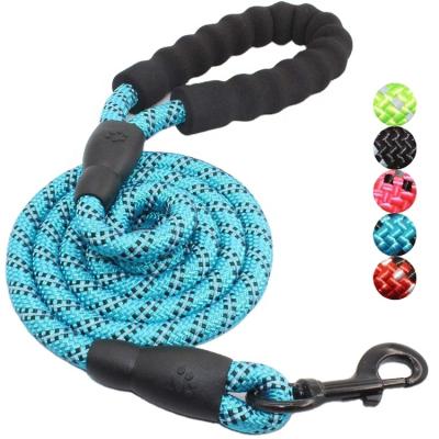 China Thoughtful Blue Medium and Large Dog Leash with the Perros Collar for sale