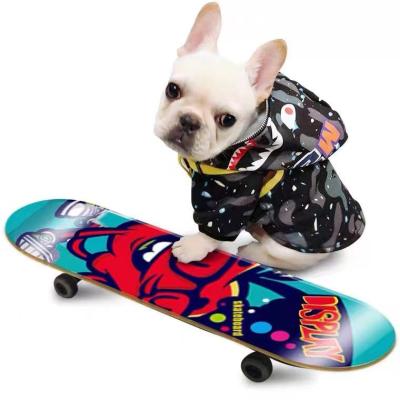 China 2021 High Quality Viable Flat Cat Pet Skate Board Slide Durable Dog Pet Toy for sale