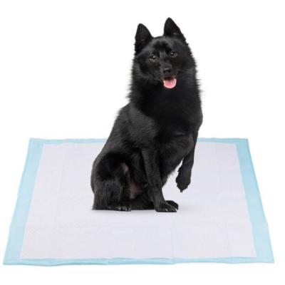 China Anti Slip Smell Elimination Pet Puppy Viable Training Toilet Small Pee Pads For Dogs for sale