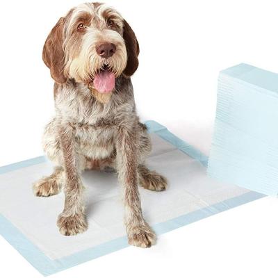 China New&Improved Quality Viable Absorbency Regular Dog Pee Pad and Puppy Potty Training Pads for sale