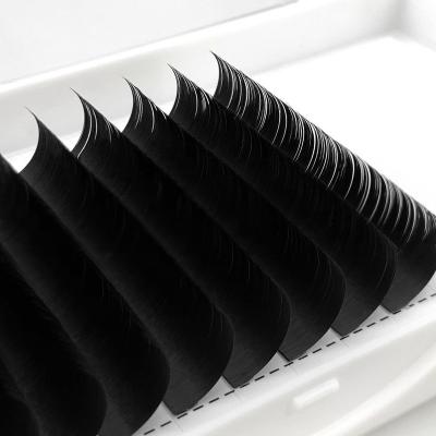 China Natural Loose Bottom Easy Long Fanned 0.02 Matte Black Mix Soft Fluffy Cashmere Eyelash Extensions Lashes Trays Mega Volume 0.03mm for sale