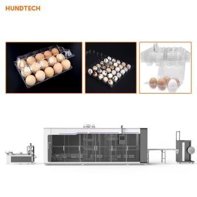 China Acuerdo plástico de la máquina 3.0kw de Thermoforming de los envases del huevo en venta