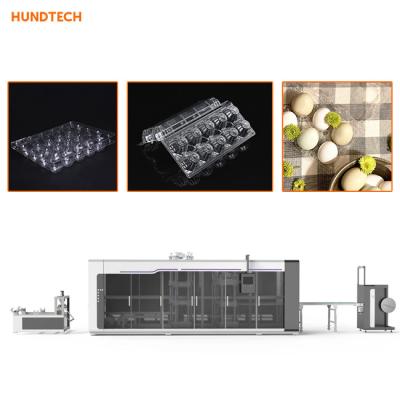 China Tiro/minuto de la máquina 198KW 35 de Pete Materiel Egg Tray Making del pollo en venta