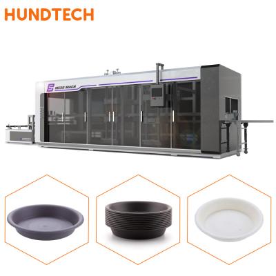 China Largura descartável de Tray Lid Pressure Thermoforming Machine 600mm do alimento à venda