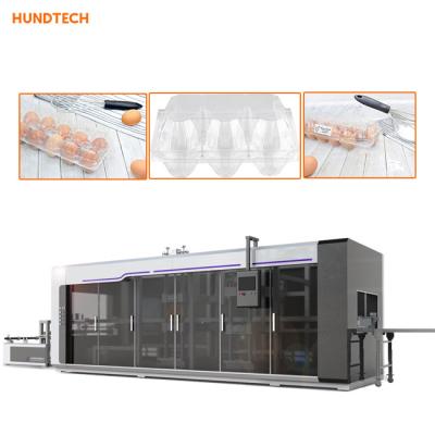 China Máquina de Tray Manufacturing Machine Egg Packaging Thermoforming del huevo de cuatro estaciones en venta