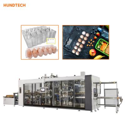 China 120mm Pasture Egg Tray Making Machine Servo Motor Vacuum Forming Equipment for sale